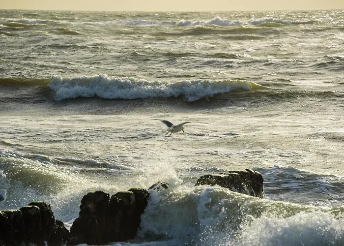 Luuward 3 Sterne Superior